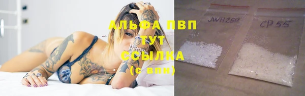 ПСИЛОЦИБИНОВЫЕ ГРИБЫ Горнозаводск