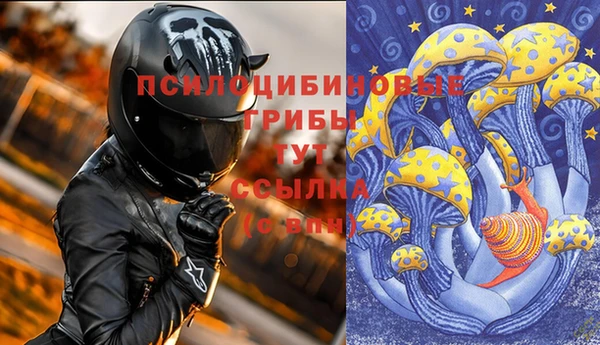 дмт Белоозёрский
