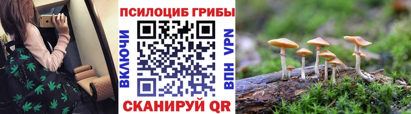Галлюциногенные грибы Cubensis Михайлов